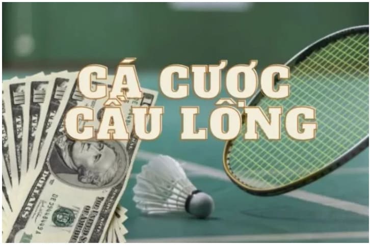 Những kèo cá cược cấu lông hấp dẫn