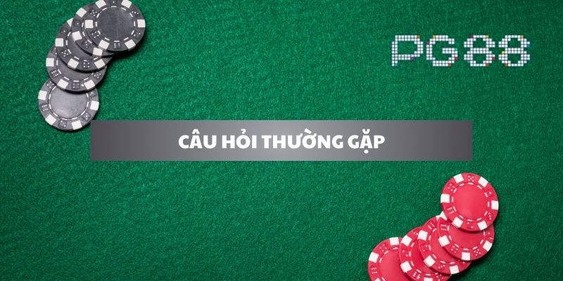 Các câu hỏi thường gặp